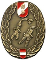 Leistungsabzeichen in Bronze